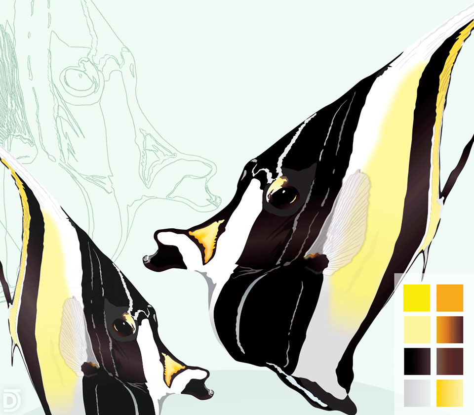 Design vectoriel innoPro - Zanclus
